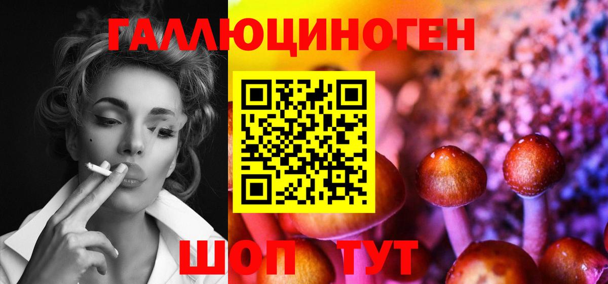 Галлюциногенные грибы мухоморы Сергиев Посад