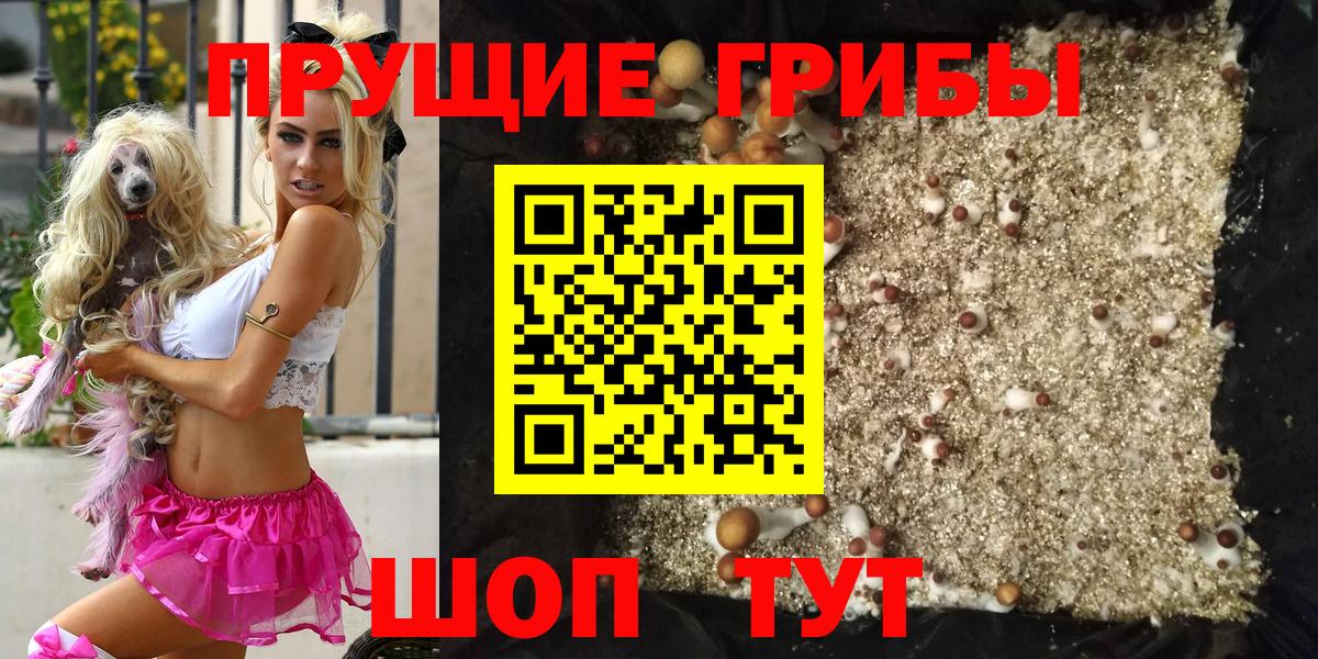 Псилоцибиновые грибы мухоморы  Вход с VPN  Галлюциногенные грибы GOLDEN TEACHER  цены   Сергиев Посад 